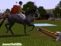 -les Sims3 Animaux & Cie- Mes Chevaux Arabes Cso