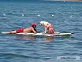 Lake Tahoe surfer dog Lake Tahoe surfer dog
