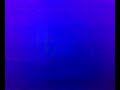 Cumple de lucia streap tease hot mujeres bailando promotoras