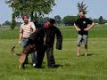 Police dog training for bachelor party Police dog training for bachelor party