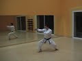Kata Heian Sandan, Shotokai, Jos� C�ceres