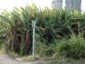 videos de Hong Kong SAR Frontier Closed Area with Shenzhen, China