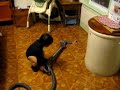 Cleaning The Kitchen