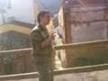 videos de Espinilla tierna