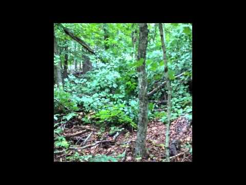 125 acres Fredericktown, MO