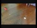 videos de Dia de Batida