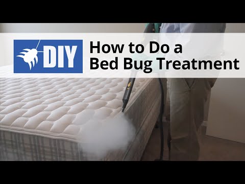 how to eliminate bed bugs on your own