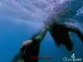 White_Shark_Free_Diving___Andre_Hartman.mp4