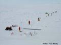 Ian Allison - Antarctic Sea Ice