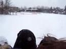 winter fun