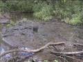 mud-wallow-deep