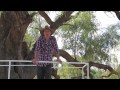 Natural Sciences Loop - The Dig Tree