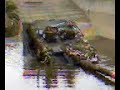 leopard 2 a6