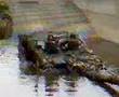 Leopard-2-A6