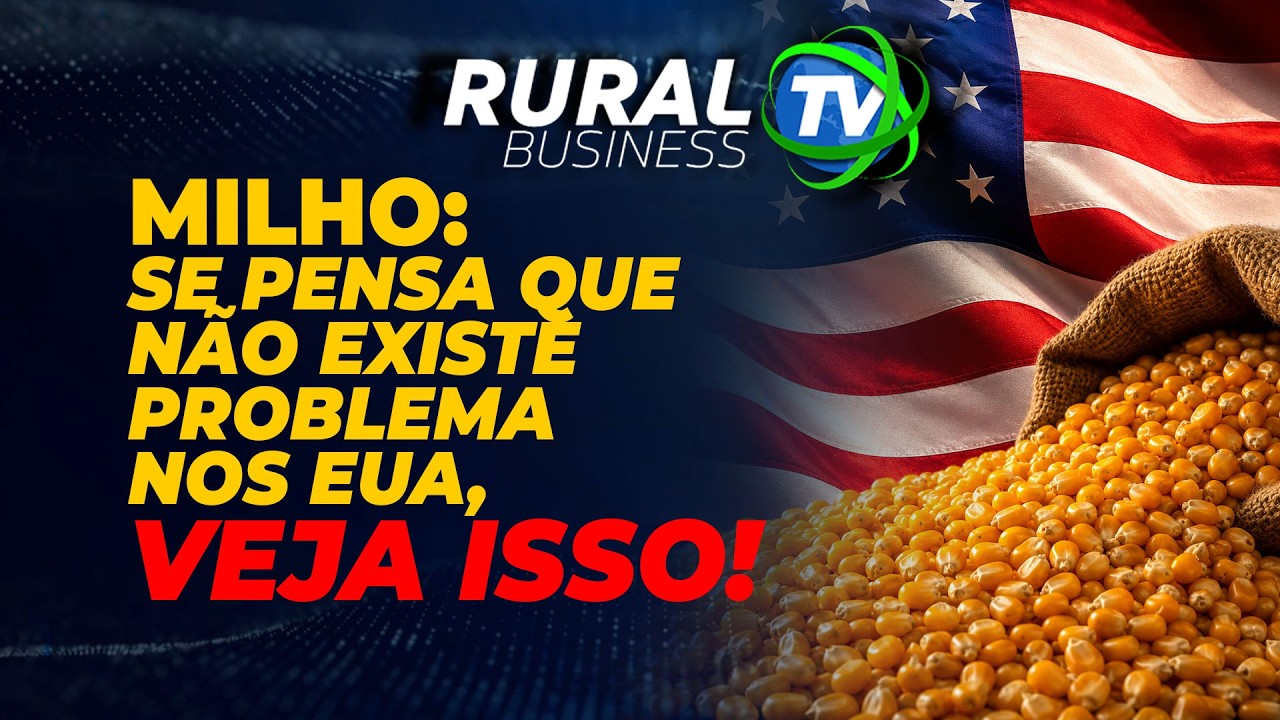 MILHO: SE PENSA QUE NÃO EXISTE PROBLEMA NOS EUA, VEJA ISSO!