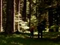 the music video i made for le papillon (movie by philippe muyl, 2002). the song is thene du vercors (by nicolas err�ra) from the soundtrack, i think it's ver...