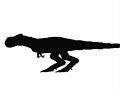 t rex.wmv
