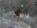 blackleg miner.mp4 blackleg miner.mp4