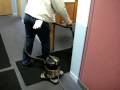 videos de Buzz Vacuum