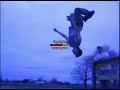 Jackass