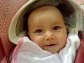 videos de Zomer in de Maxi Cosi