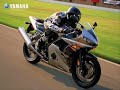 r1 2005 maroc tarjama tmax burgman r6 2006 cabrage by danbi