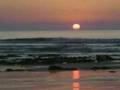 sagres surf