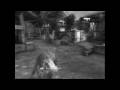 videos de scrim transistion and quality test