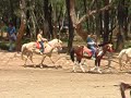 Andrea Nakpil Horsebackriding