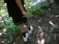 Boriz hunting crocs
