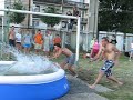 Dzivy sip