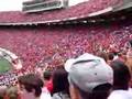 University of Wisconsin Slow Wave
