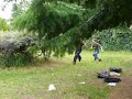 Punky course Guelfo
