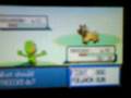 videos de pokemon ruby Shiny poochyena while SR for shiny treecko