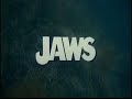 jaws is a 1975 thriller/horror film directed by steven spielberg and based on peter benchley's best-selling novel that was inspired by the jersey shore shark attacks of 1916. the police chief of amity island, a fictional summer resort town, tries to protect beachgoers from a great white shark by closing the beach, only to be overruled by the town council, which wants the beach to remain open to draw a profit from tourists. after several attacks, the police chief enlists the help of a marine biologist and a professional shark hunter. roy scheider stars as police chief martin brody, richard dreyfuss as marine biologist matt hooper, robert shaw as shark hunter quint, lorraine gary as brody's wife ellen and murray hamilton as mayor vaughn.

jaws is regarded as a watershed film in motion picture history, the father of the summer blockbuster movie and one of the first 