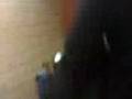 videos de seguimos con tonterias