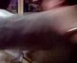 videos de Matroos Heusden