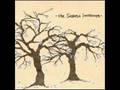 The Saddest Landscape - The Sixth Golden Ticket