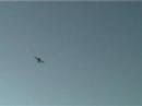 aero works yak 54 tur 2