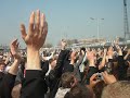 Kakkerlakken uit 2005 Kakkerlakken uit 2005