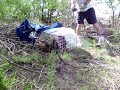 Trapped Skunk Trapped Skunk