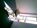 scuola aereonautica fantasma