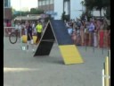 Exhibici� Fira de l\