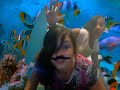 fish :)