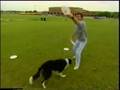 videos de Skyler and Mark - Juggling Taps