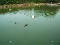 Tobu-Dobutsu-koen Tobu-Dobutsu-koen