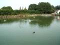 videos de Tobu-Dobutsu-koen (1 of 11)