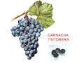 Tintoralba - Enero 07