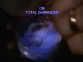 videos de iGlow1video.wmv