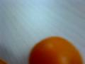 MOV00001 MOV00001